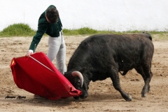 Aitor Fernández (12)