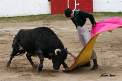 Aitor Fernández (4)