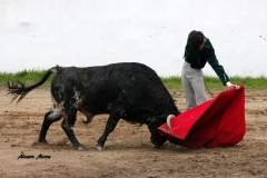 Aitor Fernández (6)