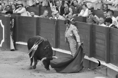 2025-06-01-F.-Lozano-7780