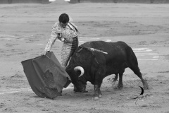 2025-06-01-F.-Lozano-7781
