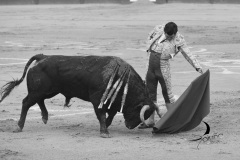 2025-06-01-F.-Lozano-7782