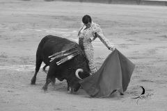 2025-06-01-F.-Lozano-7783