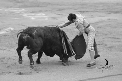 2025-06-01-F.-Lozano-7784