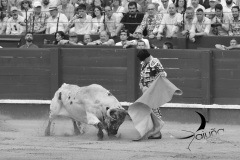 2025-06-01-F.-Lozano-7786