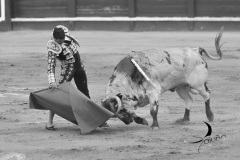 2025-06-01-F.-Lozano-7788