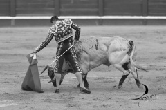 2025-06-01-F.-Lozano-7789