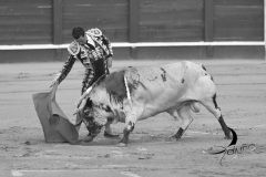 2025-06-01-F.-Lozano-7790