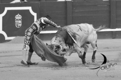 2025-06-01-F.-Lozano-7791