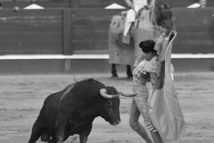 2025-06-01-F.-Lozano-7793