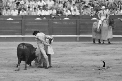 2025-06-01-F.-Lozano-7794