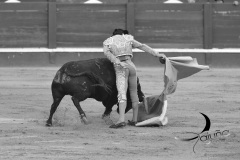 2025-06-01-F.-Lozano-7795