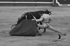 2025-06-01-F.-Lozano-7796
