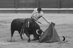 2025-06-01-F.-Lozano-7797