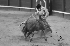 2025-06-01-F.-Lozano-7799