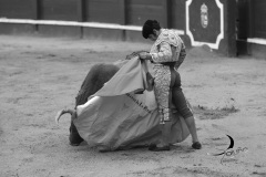 2025-06-01-F.-Lozano-7800