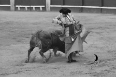 2025-06-01-F.-Lozano-7801