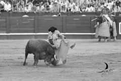2025-06-01-F.-Lozano-7803