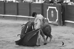 2025-06-01-F.-Lozano-7804