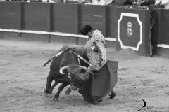 2025-06-01-F.-Lozano-7805