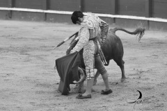 2025-06-01-F.-Lozano-7806