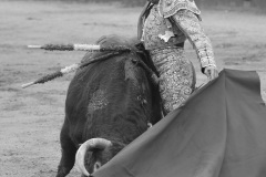 2025-06-01-F.-Lozano-7807