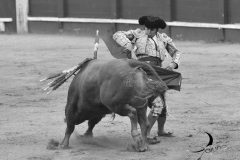 2025-06-01-F.-Lozano-7808