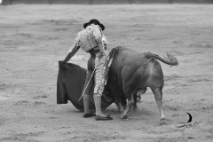 2025-06-01-F.-Lozano-7809