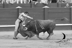 2025-06-01-F.-Lozano-7810