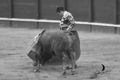 2025-06-01-F.-Lozano-7812