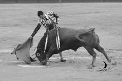2025-06-01-F.-Lozano-7813