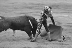 2025-06-01-F.-Lozano-7814