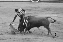 2025-06-01-F.-Lozano-7815