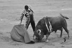 2025-06-01-F.-Lozano-7816
