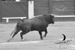 2025-06-01-F.-Lozano-7817