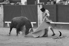 2025-06-01-F.-Lozano-7818