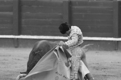 2025-06-01-F.-Lozano-7819