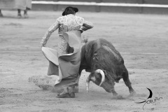 2025-06-01-F.-Lozano-7820