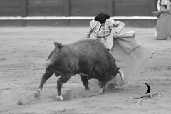 2025-06-01-F.-Lozano-7821