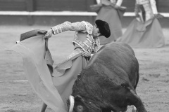 2025-06-01-F.-Lozano-7822