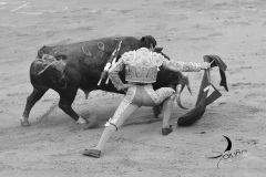 2025-06-01-F.-Lozano-7824