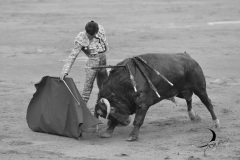 2025-06-01-F.-Lozano-7825