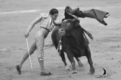 2025-06-01-F.-Lozano-7826