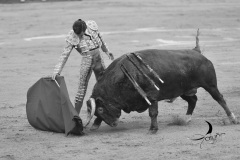 2025-06-01-F.-Lozano-7827