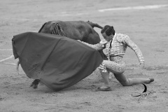 2025-06-01-F.-Lozano-7828