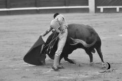 2025-06-01-F.-Lozano-7830