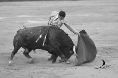2025-06-01-F.-Lozano-7831
