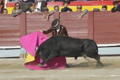 2023-10-21-Festival-T.-Chinchon-8085