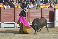 2023-10-21-Festival-T.-Chinchon-8335