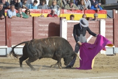 2023-10-21-Festival-T.-Chinchon-8338